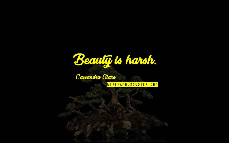 Veritasseum Quotes By Cassandra Clare: Beauty is harsh.