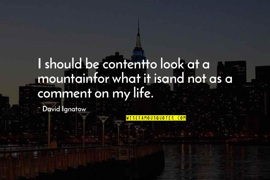 Verliefde Man Quotes By David Ignatow: I should be contentto look at a mountainfor