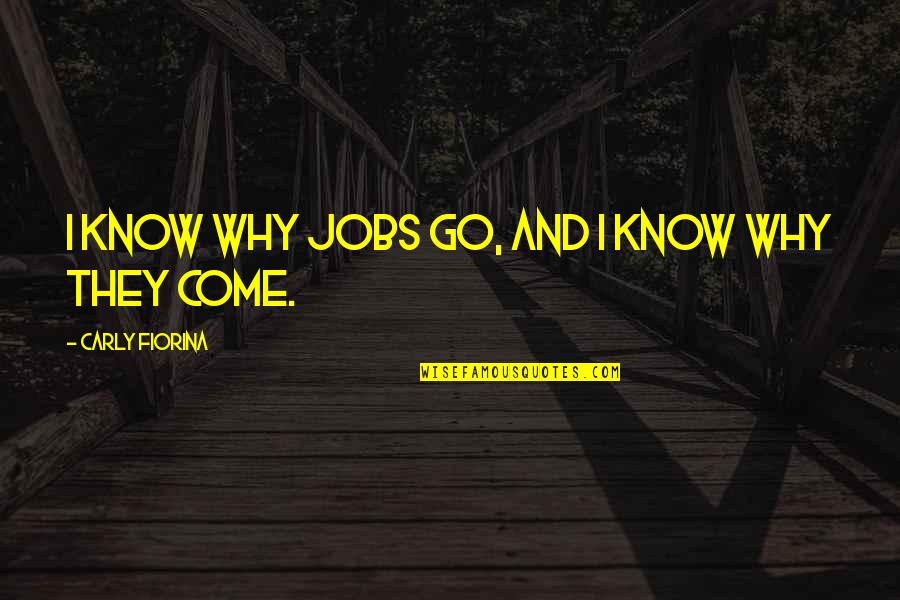 Verstaen Quotes By Carly Fiorina: I know why jobs go, and I know