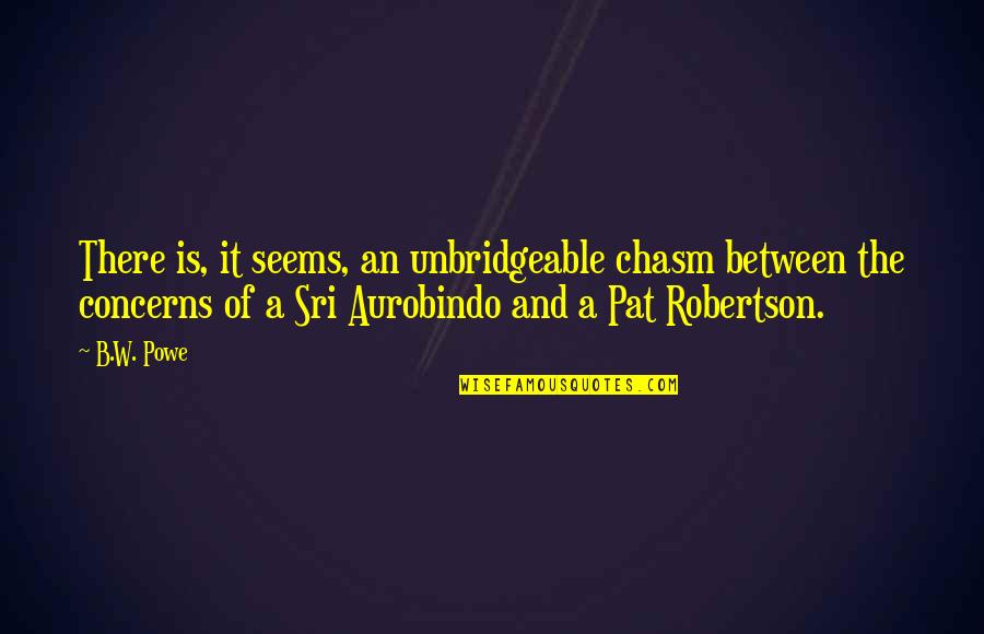 Vettoor Purushan Quotes By B.W. Powe: There is, it seems, an unbridgeable chasm between