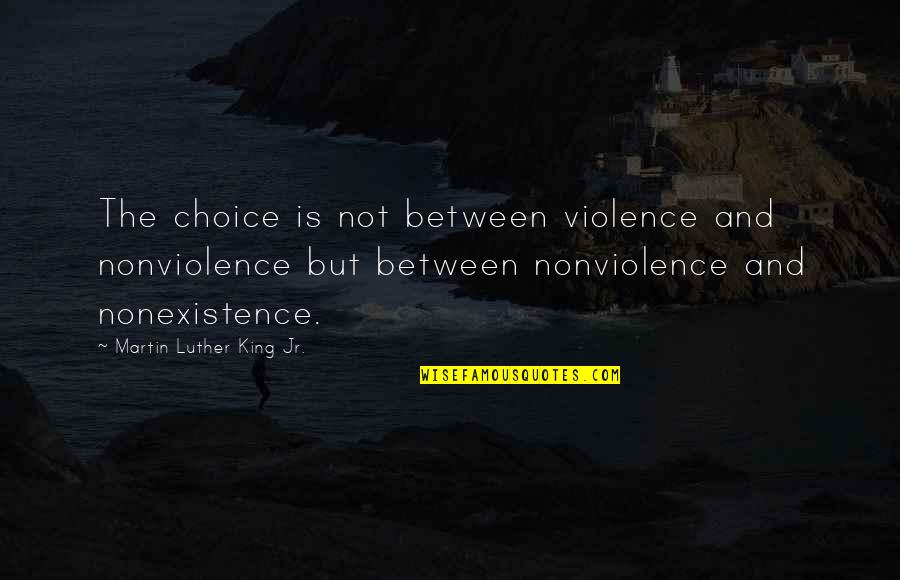 Vicentin Quotes By Martin Luther King Jr.: The choice is not between violence and nonviolence
