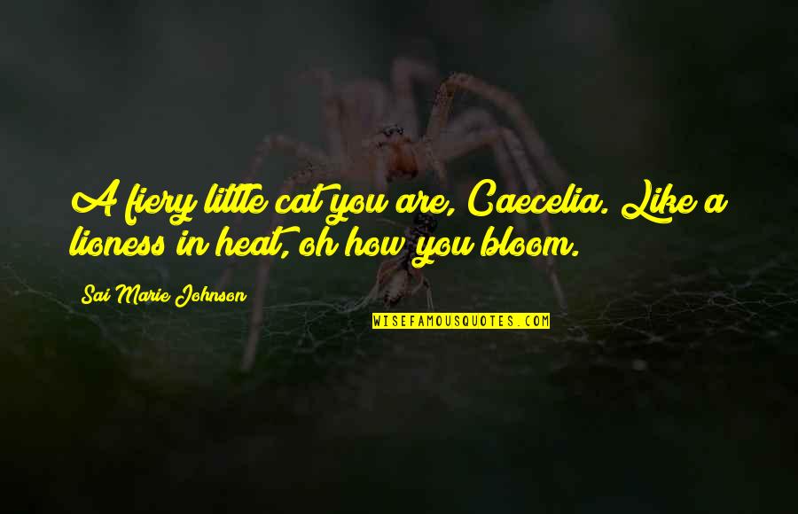 Vicentin Quotes By Sai Marie Johnson: A fiery little cat you are, Caecelia. Like