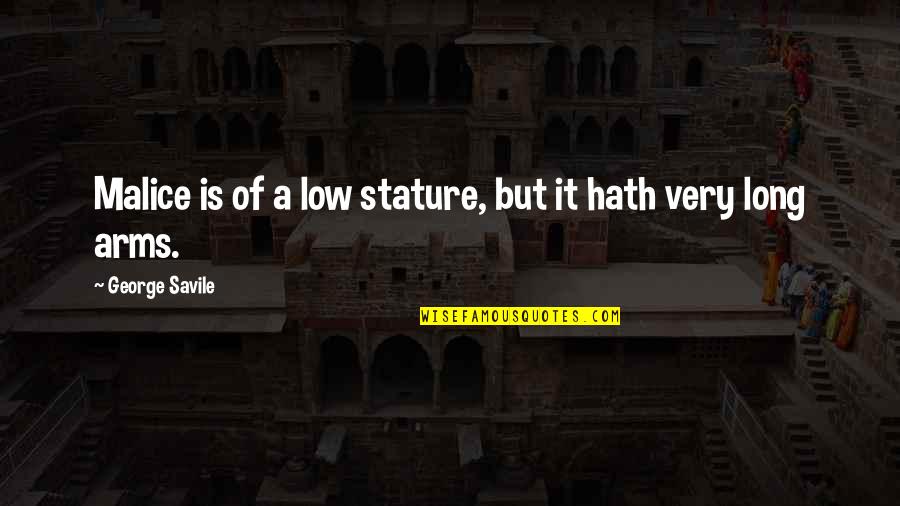 Victor Franco Quotes By George Savile: Malice is of a low stature, but it