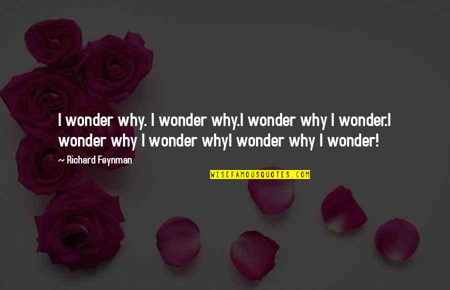 Videos Bromas Chistosas Quotes By Richard Feynman: I wonder why. I wonder why.I wonder why