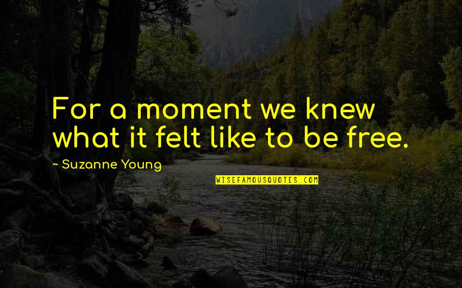 Videotaped Testimony Quotes By Suzanne Young: For a moment we knew what it felt