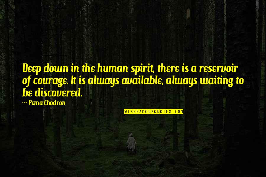 Vigliotta Bros Quotes By Pema Chodron: Deep down in the human spirit, there is