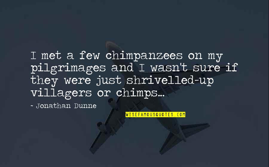 Villagers Quotes By Jonathan Dunne: I met a few chimpanzees on my pilgrimages
