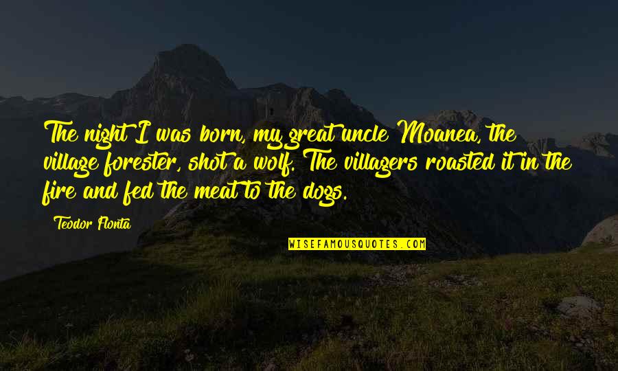 Villagers Quotes By Teodor Flonta: The night I was born, my great uncle