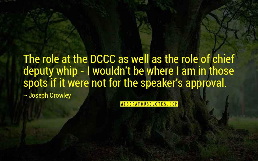 Vincenty Algorithm Quotes By Joseph Crowley: The role at the DCCC as well as