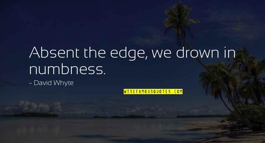 Vitoria Quotes By David Whyte: Absent the edge, we drown in numbness.