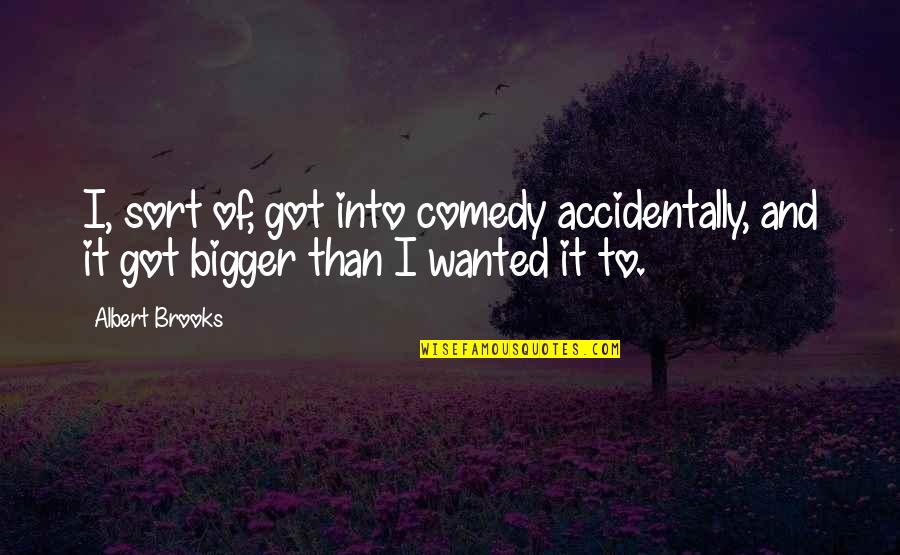 Viverettes Paint Quotes By Albert Brooks: I, sort of, got into comedy accidentally, and