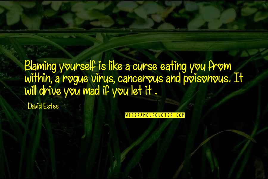 Vladari Quotes By David Estes: Blaming yourself is like a curse eating you