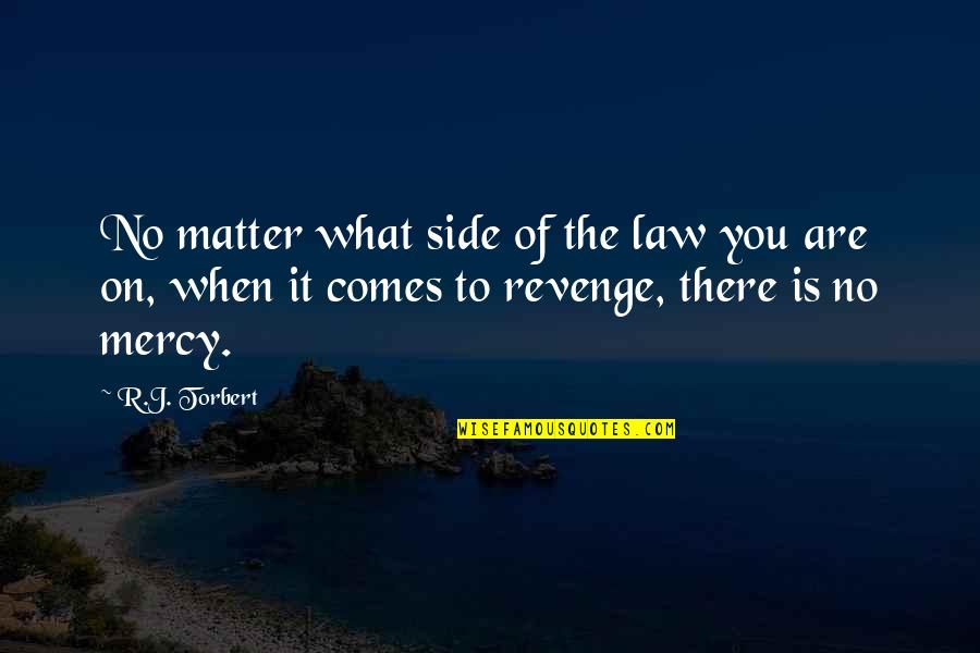 Vladimir Megre Anastasia Quotes By R.J. Torbert: No matter what side of the law you