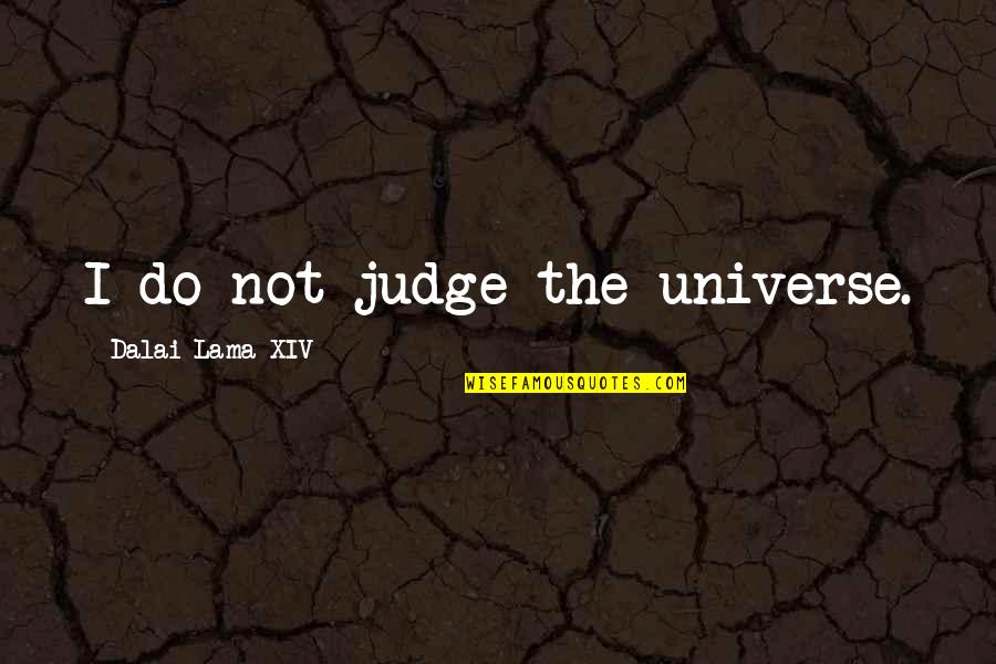 Vna Asbury Quotes By Dalai Lama XIV: I do not judge the universe.