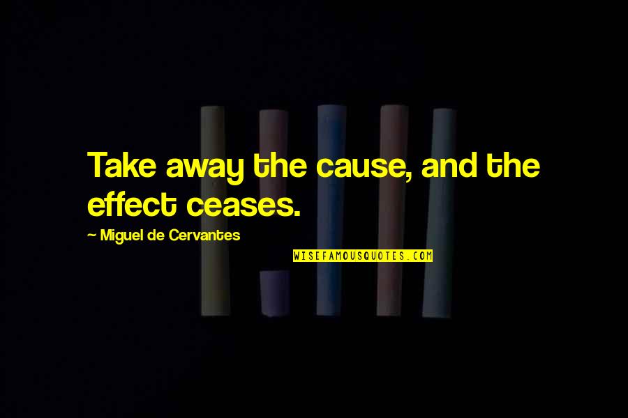 Volkova Quotes By Miguel De Cervantes: Take away the cause, and the effect ceases.