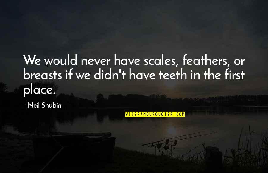 Vopli Vidoplyasova Quotes By Neil Shubin: We would never have scales, feathers, or breasts