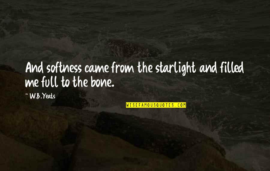 W.b Yeats Quotes By W.B.Yeats: And softness came from the starlight and filled