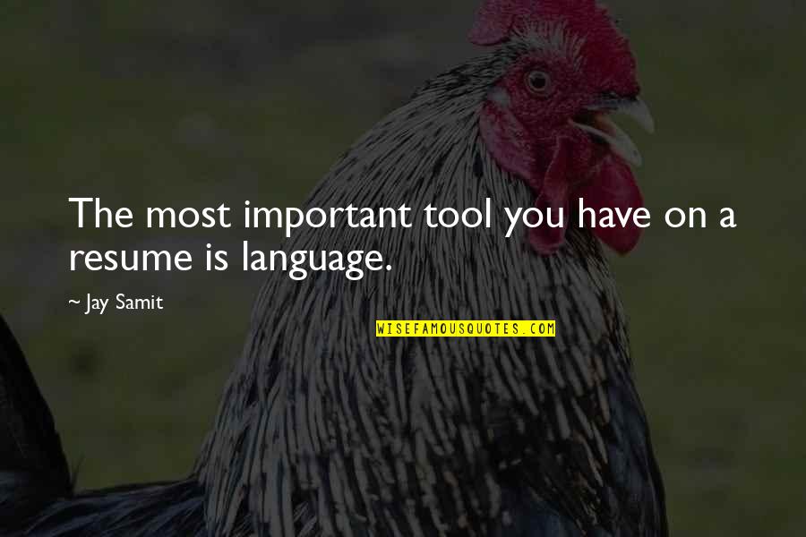 Waaaaay To Funny Quotes By Jay Samit: The most important tool you have on a