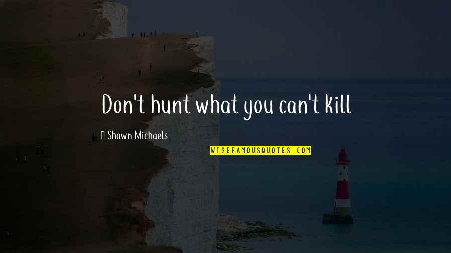 Wachsamkeit Quotes By Shawn Michaels: Don't hunt what you can't kill