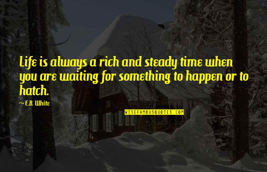 Waiting Something Happen Quotes By E.B. White: Life is always a rich and steady time