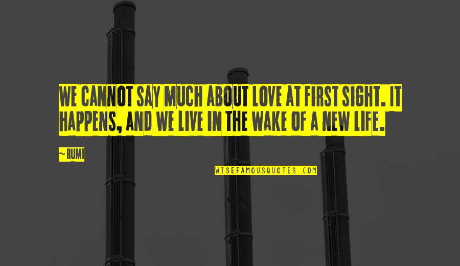 Wake Up And Live Life Quotes By Rumi: We cannot say much about love at first