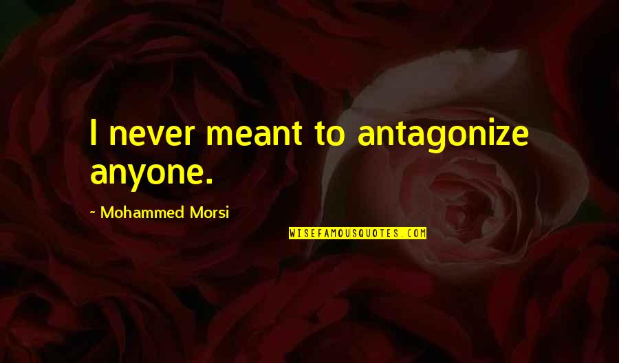 Walkup Electric Florence Quotes By Mohammed Morsi: I never meant to antagonize anyone.