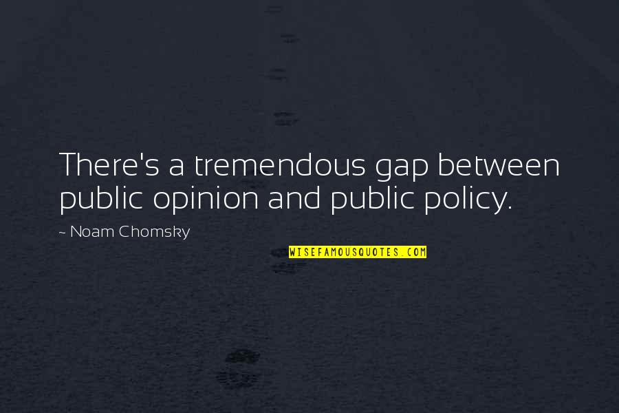 Wandy Tsai Quotes By Noam Chomsky: There's a tremendous gap between public opinion and