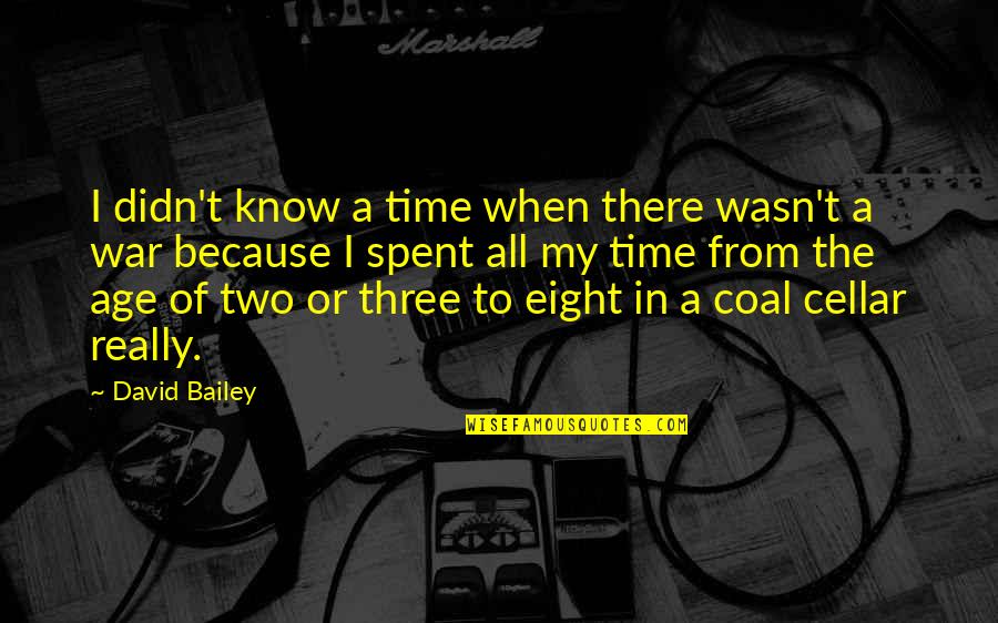 War Time Quotes By David Bailey: I didn't know a time when there wasn't