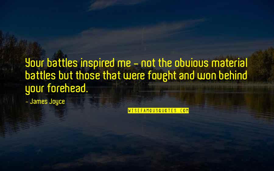 Warehouse 13 Instinct Quotes By James Joyce: Your battles inspired me - not the obvious