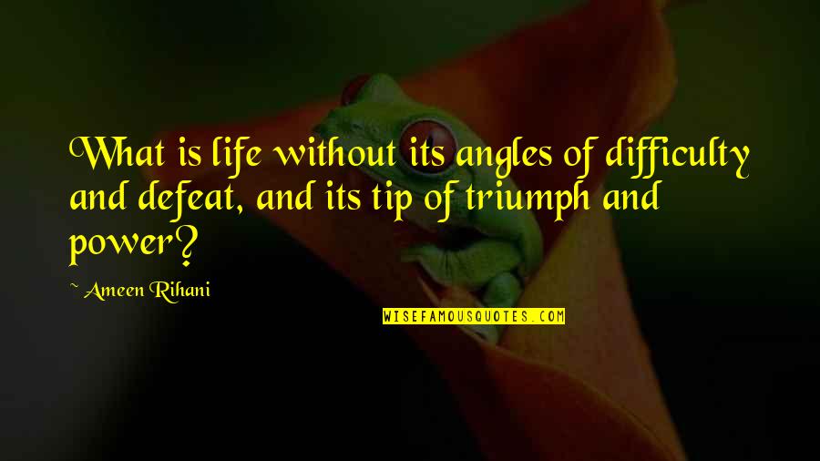 Waris Pak Quotes By Ameen Rihani: What is life without its angles of difficulty