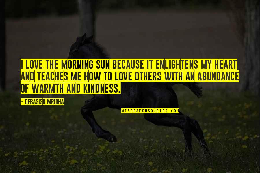 Warmth Of The Sun Quotes By Debasish Mridha: I love the morning sun because it enlightens