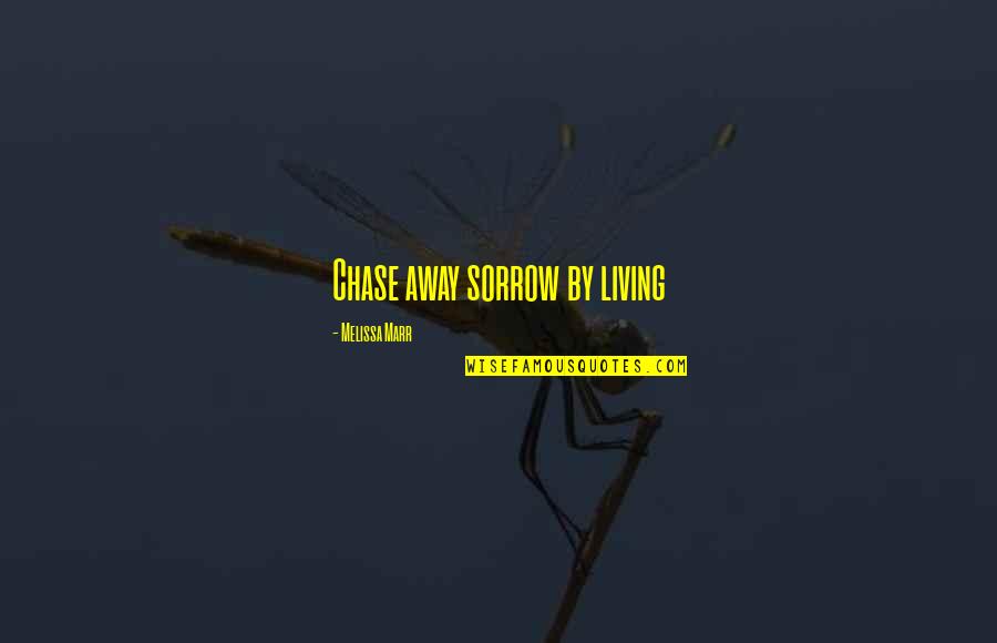 Wasley Construction Quotes By Melissa Marr: Chase away sorrow by living