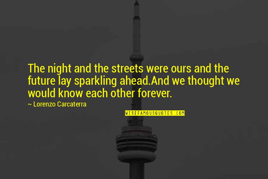 Wasner Metzger Quotes By Lorenzo Carcaterra: The night and the streets were ours and