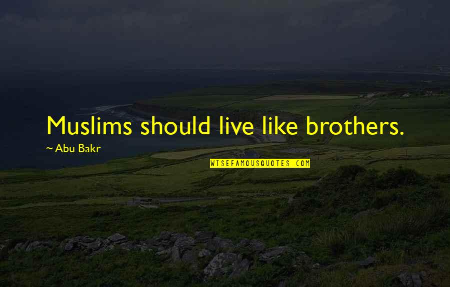 Waterbirds In Connecticut Quotes By Abu Bakr: Muslims should live like brothers.