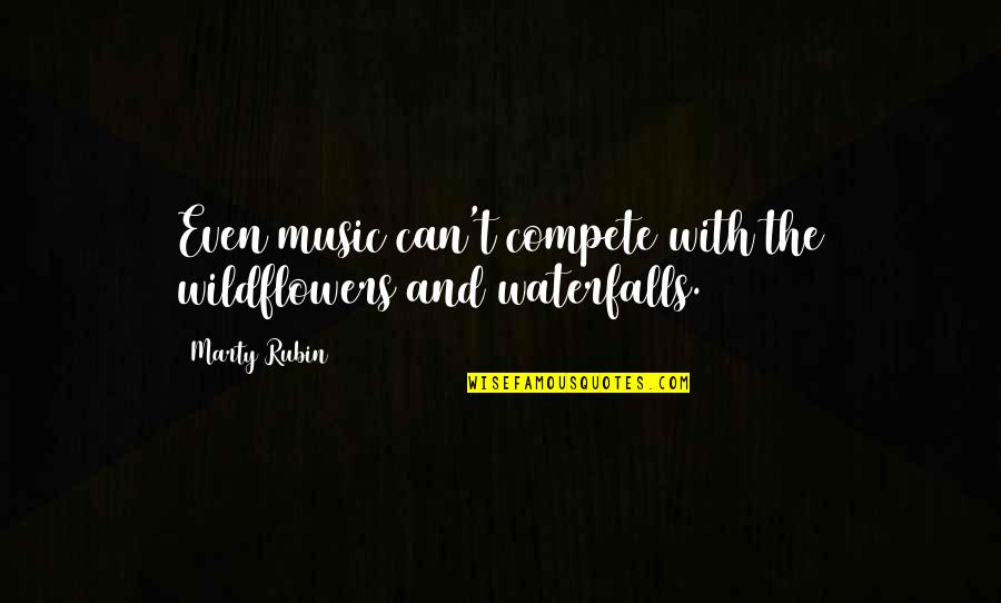 Waterfalls Quotes By Marty Rubin: Even music can't compete with the wildflowers and