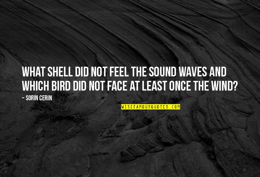 Waves And Wind Quotes By Sorin Cerin: What shell did not feel the sound waves