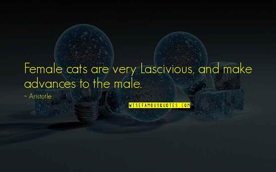 Wctu Prohibition Quotes By Aristotle.: Female cats are very Lascivious, and make advances