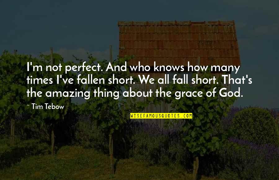 We All Fall Quotes By Tim Tebow: I'm not perfect. And who knows how many