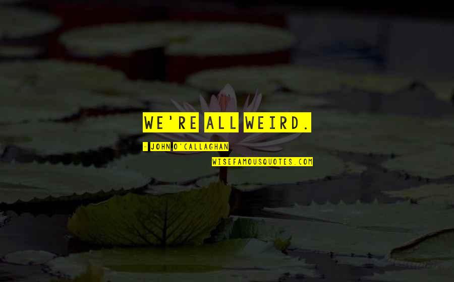 We Are All Weird Quotes By John O'Callaghan: We're all weird.