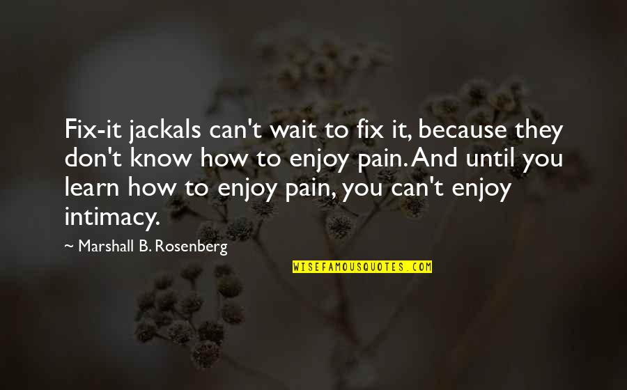 We Can Fix It Quotes By Marshall B. Rosenberg: Fix-it jackals can't wait to fix it, because