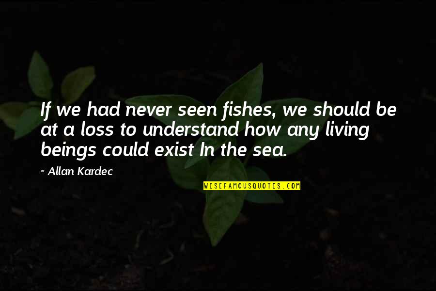 We Could Never Be Quotes By Allan Kardec: If we had never seen fishes, we should