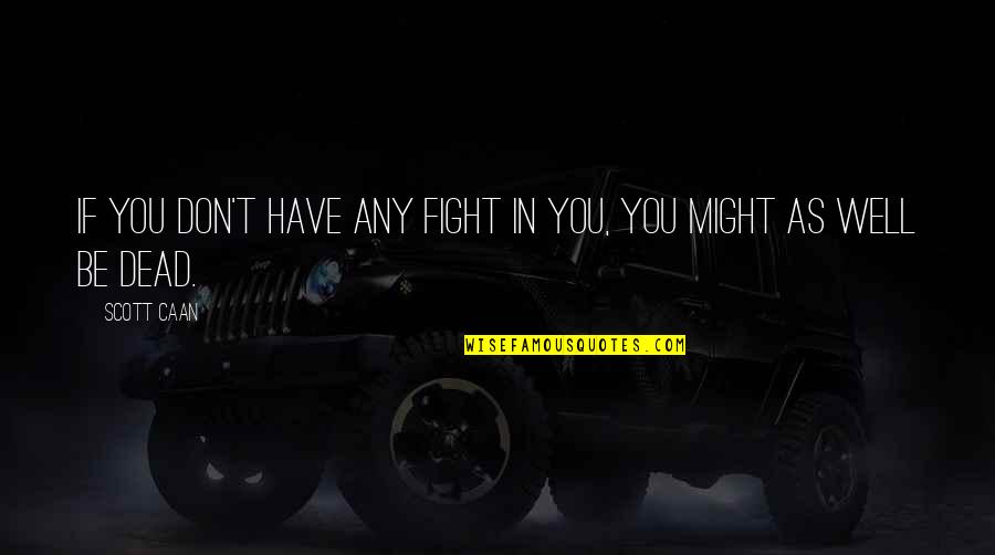 We Might Fight Quotes By Scott Caan: If you don't have any fight in you,