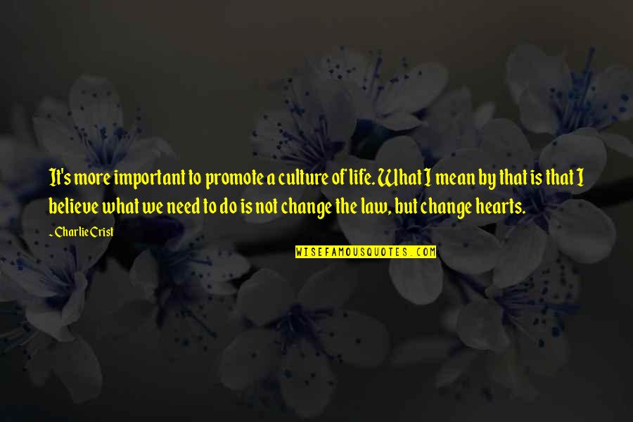 We Need To Change Quotes By Charlie Crist: It's more important to promote a culture of