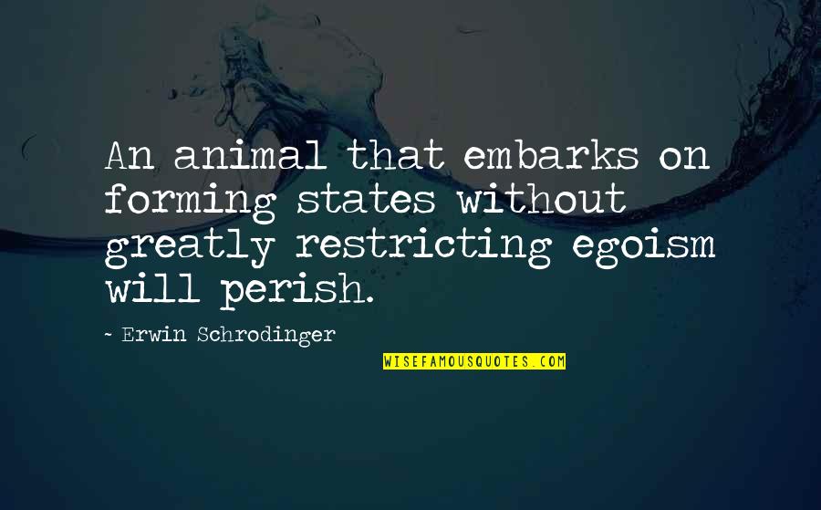 We Will All Perish Quotes By Erwin Schrodinger: An animal that embarks on forming states without