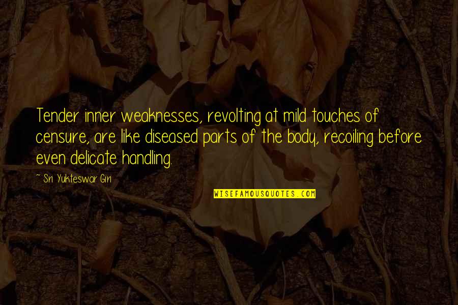 Weaknesses The Quotes By Sri Yukteswar Giri: Tender inner weaknesses, revolting at mild touches of