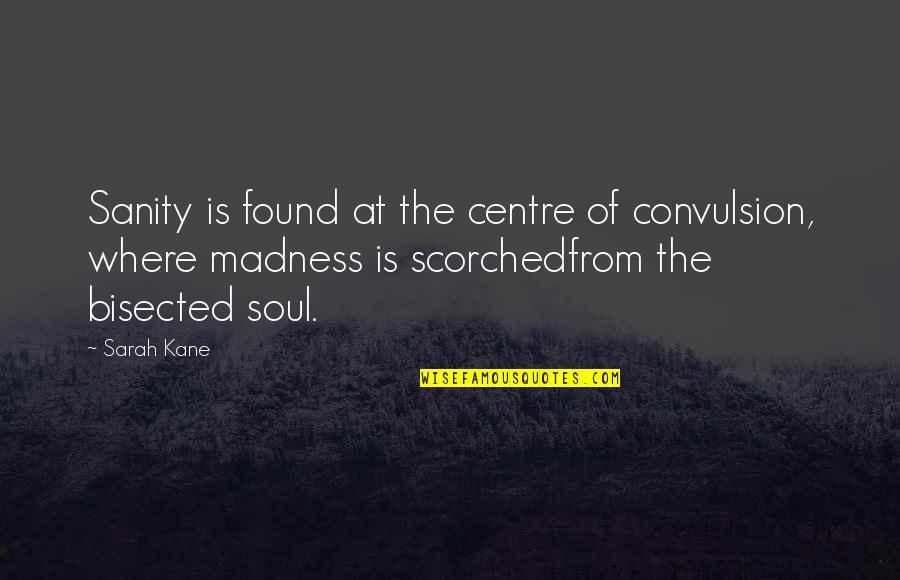 Weidemann T4512 Quotes By Sarah Kane: Sanity is found at the centre of convulsion,