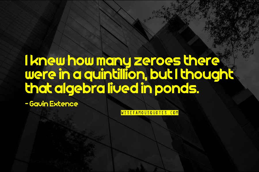 Weird Days Quotes By Gavin Extence: I knew how many zeroes there were in