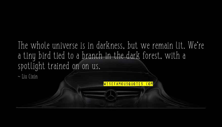 Well Being At Work Quotes By Liu Cixin: The whole universe is in darkness, but we