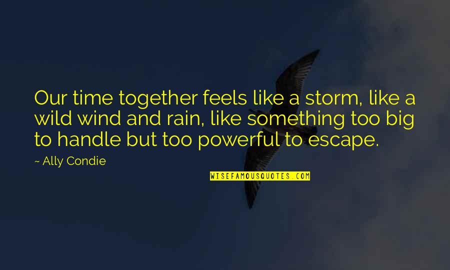 Wending Diamond Quotes By Ally Condie: Our time together feels like a storm, like
