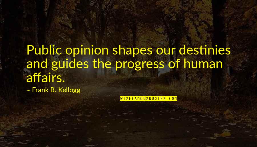 Werckleocereus Quotes By Frank B. Kellogg: Public opinion shapes our destinies and guides the